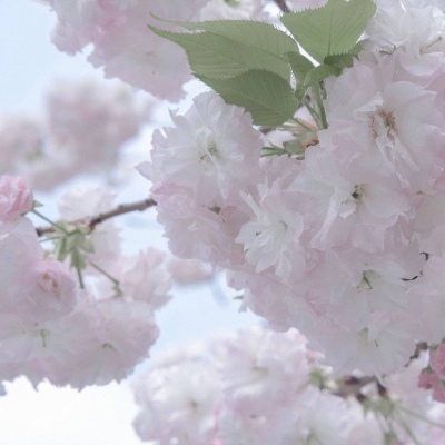 兽设插画构图技巧兽圈社群